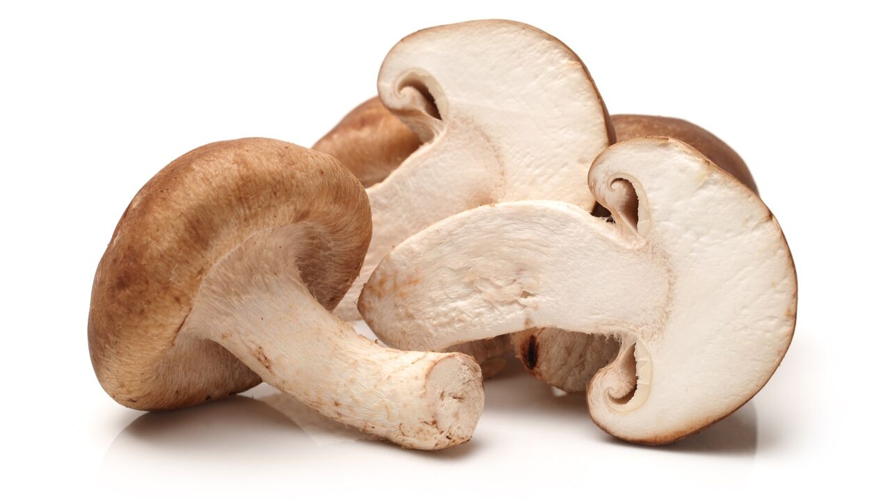 Shiitake mushrooms in maps